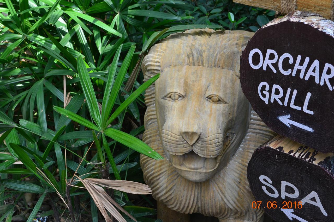 רמנגר Corbett Wild Iris Spa And Resort מראה חיצוני תמונה